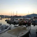 Zdravko Trogir