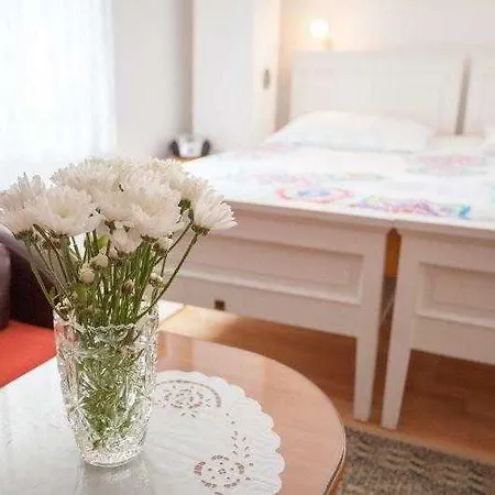 兹德拉夫科公寓酒店 *