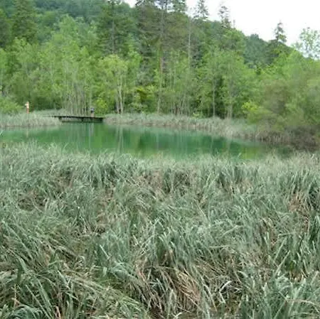 公寓 兹德拉夫科公寓酒店 *