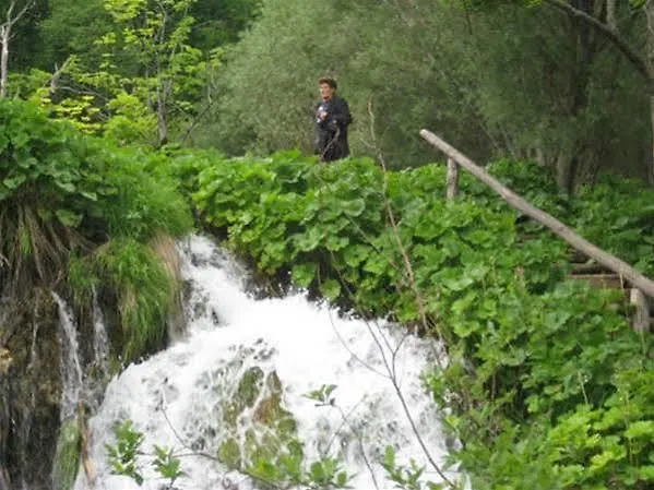 Apartamento Zdravko *