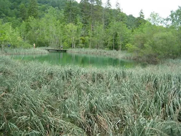 Apartamento Zdravko *